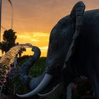 Elefant im Abendlicht