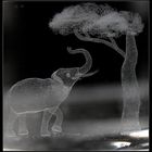 Elefant im Glas