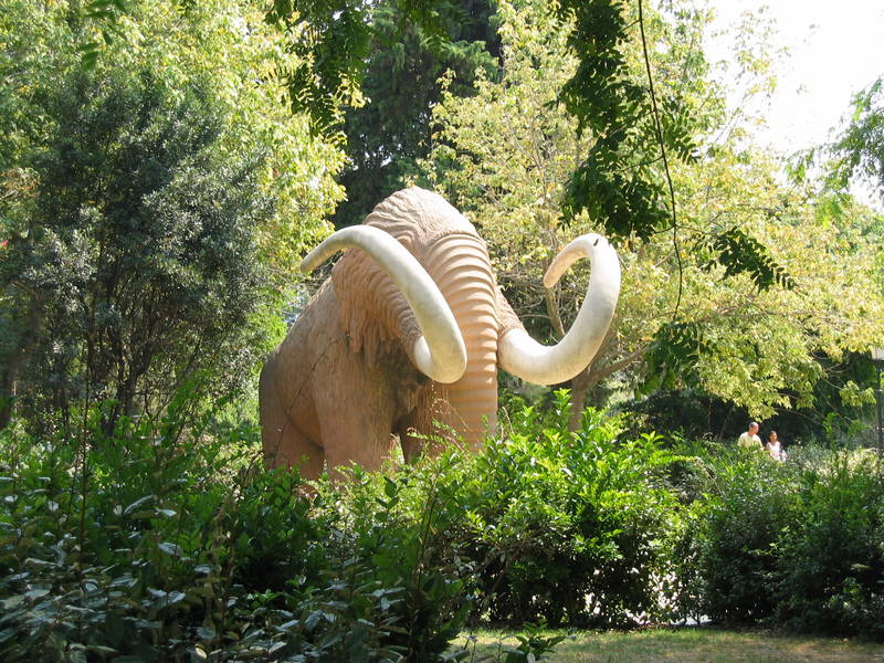 Elefant im Grünen