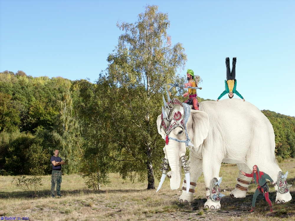 Elefant im Herbst