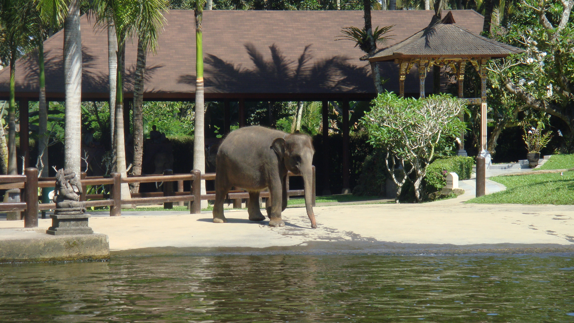 Elefant in Bali