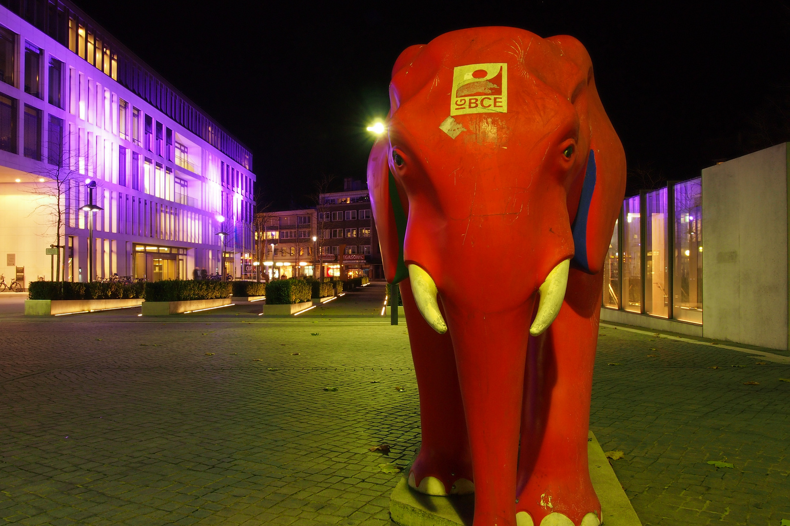 Elefant in der City