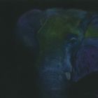 Elefant in Pastell