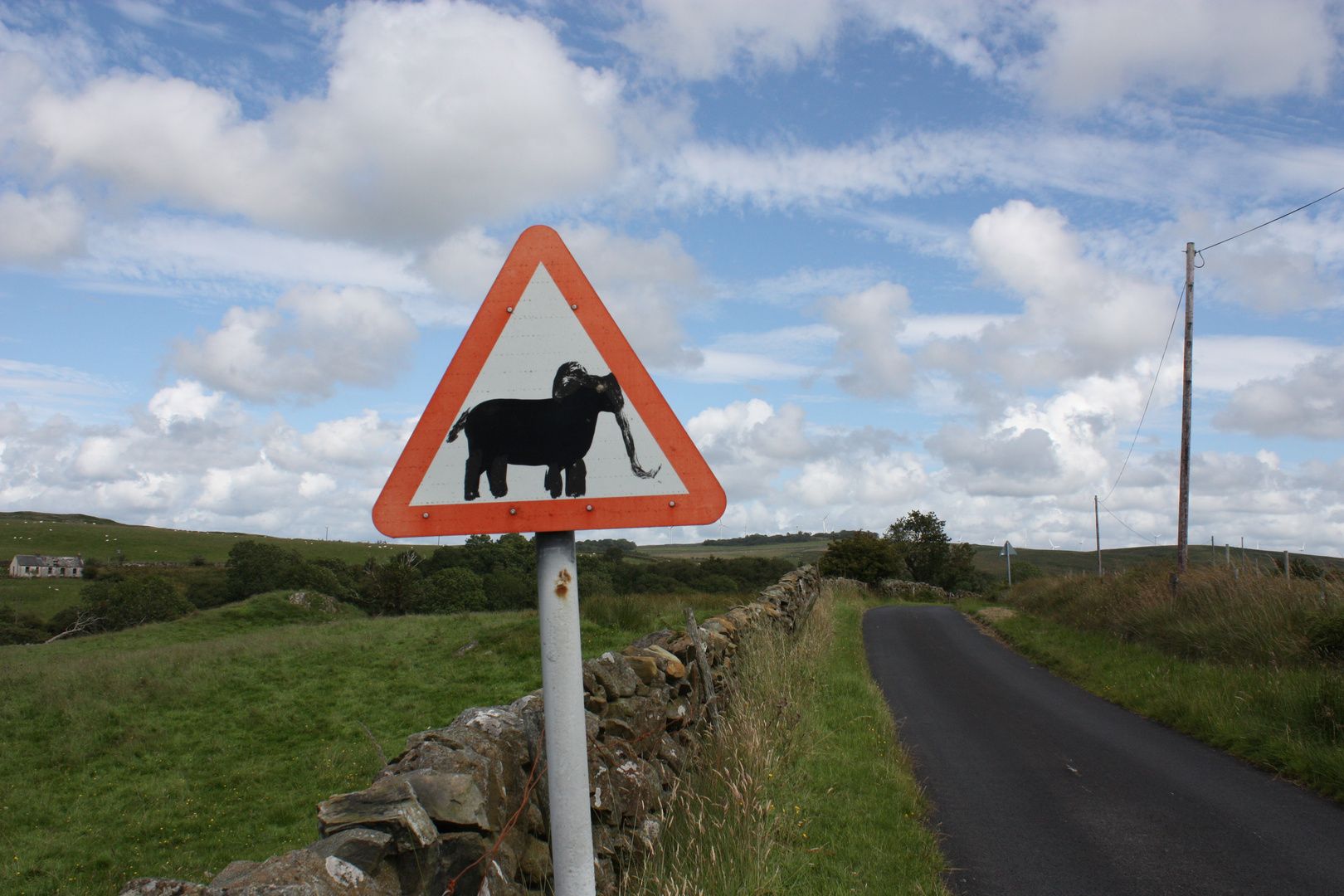 Elefant in Schottland