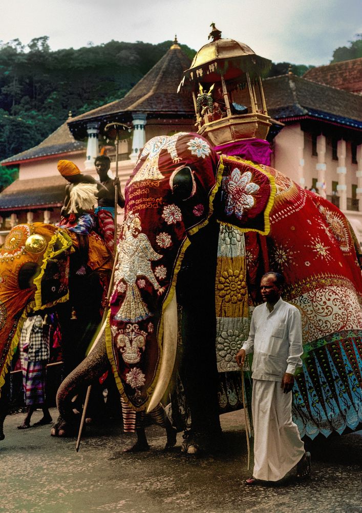 Elefant mit dem Zahn Buddhas