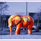 Elefant orange ...