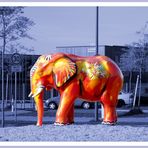 Elefant orange ...