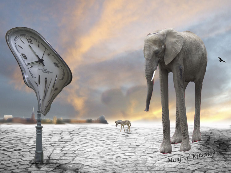 Elefant Surreal