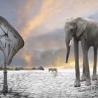 Elefant Surreal