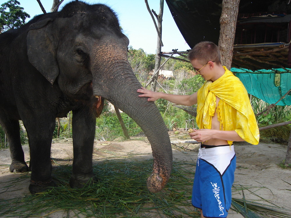 Elefant Thailand Ko Phangan