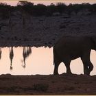 Elefant Traenke Namibia ca-83-col