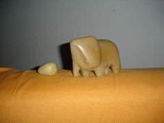 elefant und handschmeichler