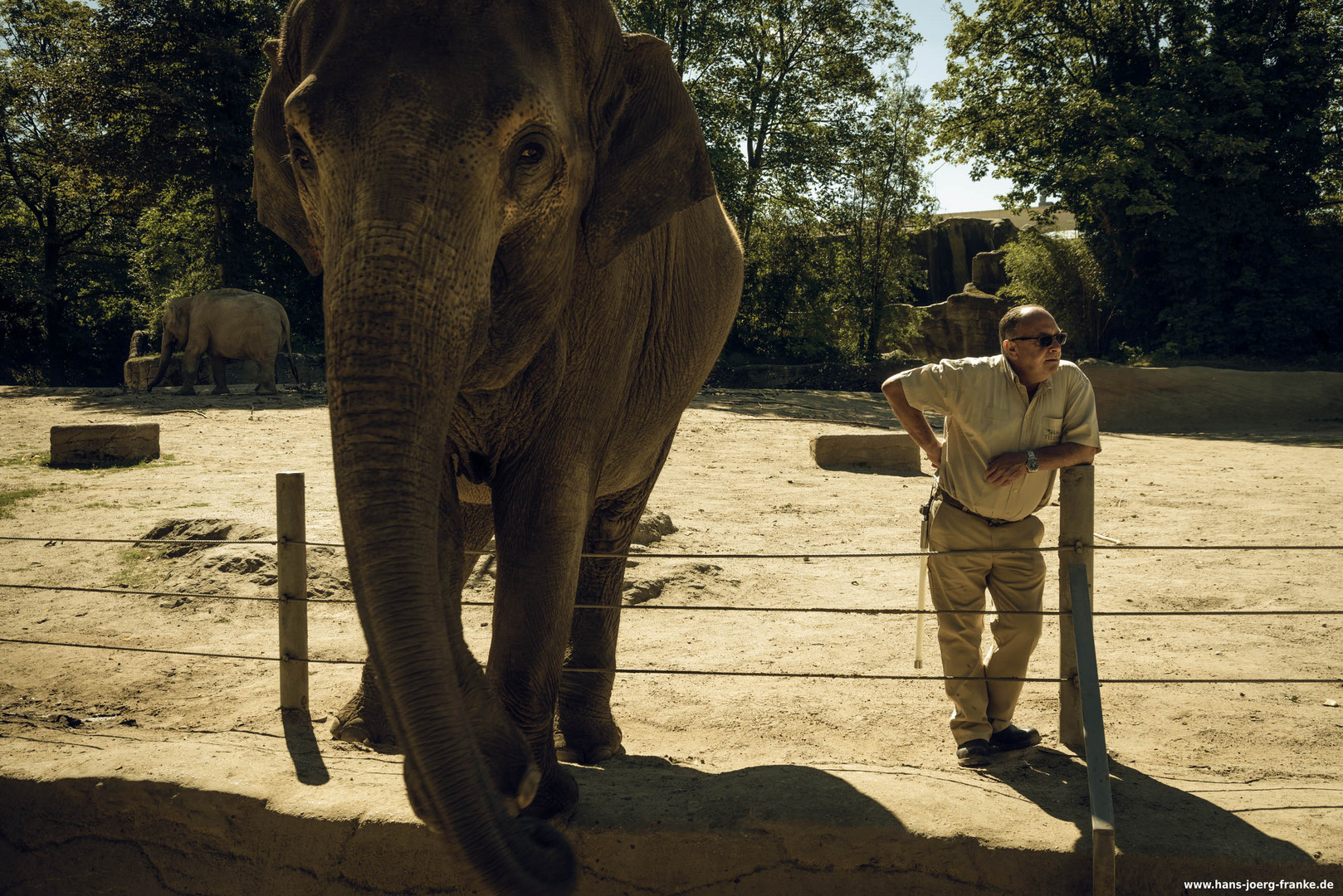 Elefant und Pfleger