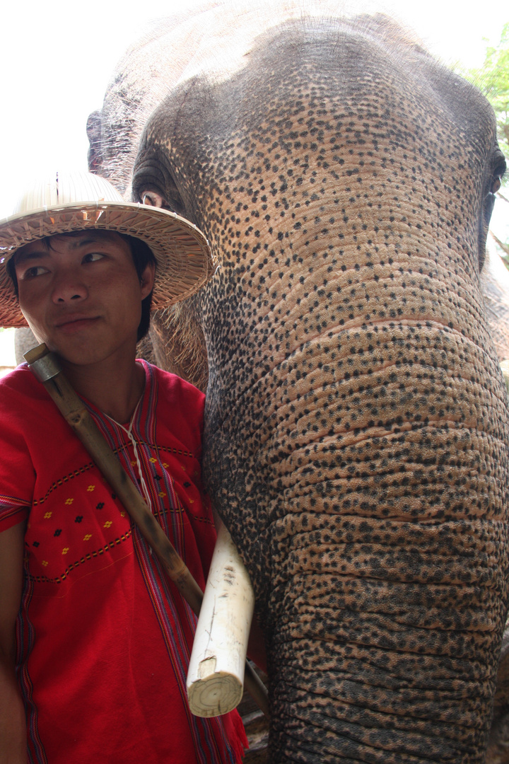 Elefant und Trainer