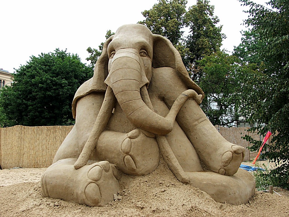 Elefant von vorne