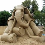 Elefant von vorne