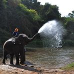 ELEFANTE CHE FA' LA FONTANA