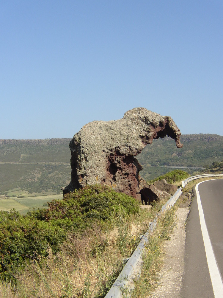 Elefanten auf Sardinien?