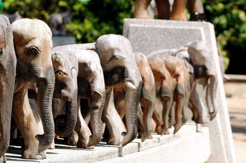 Elefanten aus Holz