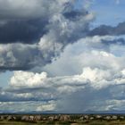 Elefanten im Amboseli