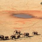 Elefanten im Tsavo Ost Nationalpark, Kenia