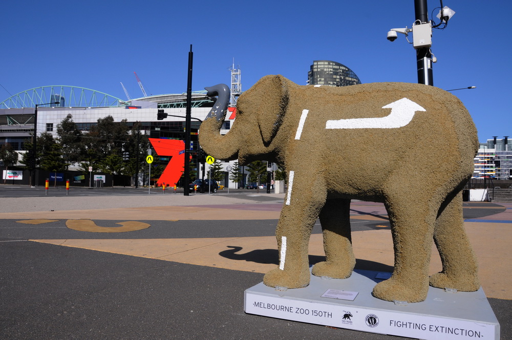 Elefanten in Melbourne