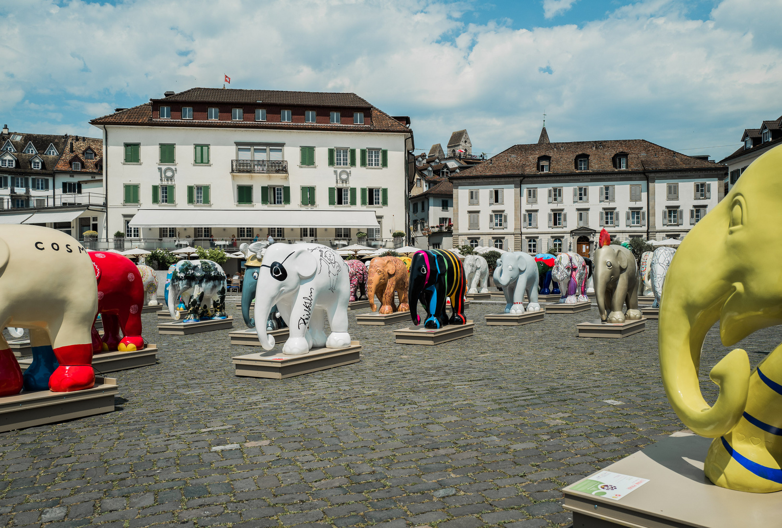 Elefanten in Rapperswil