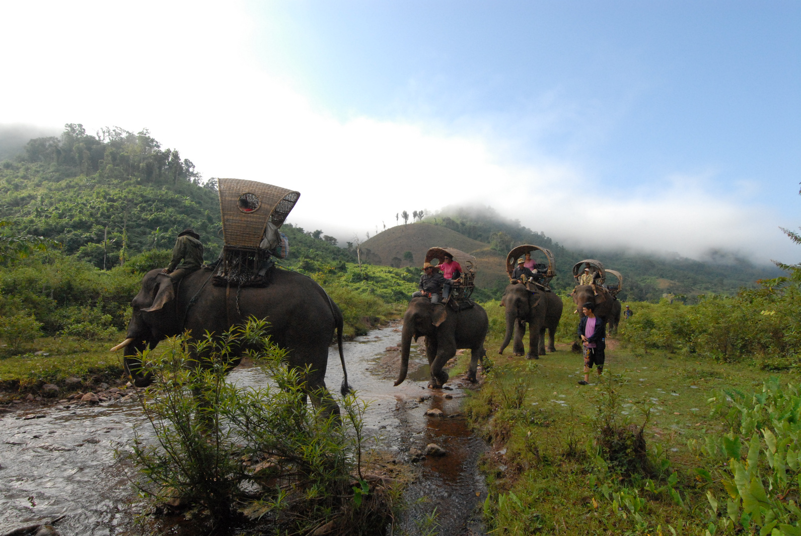 Elefanten-Trekking in der Provinz Xayaboury