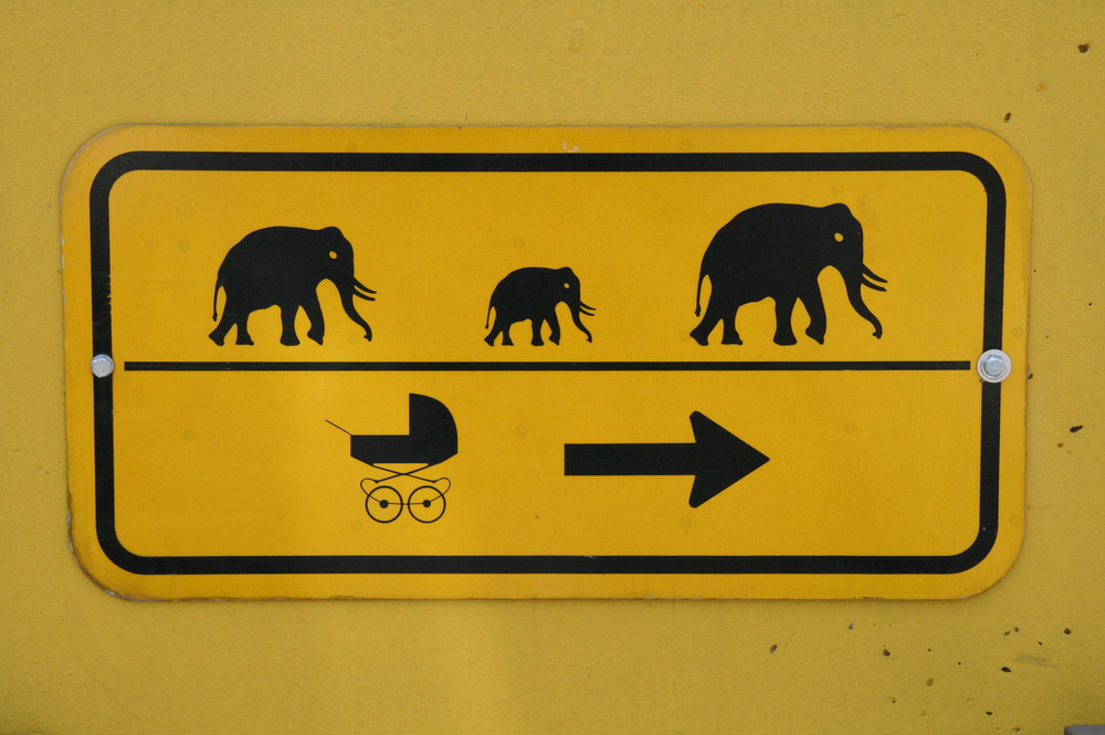 Elefanten und Kinderwagen...