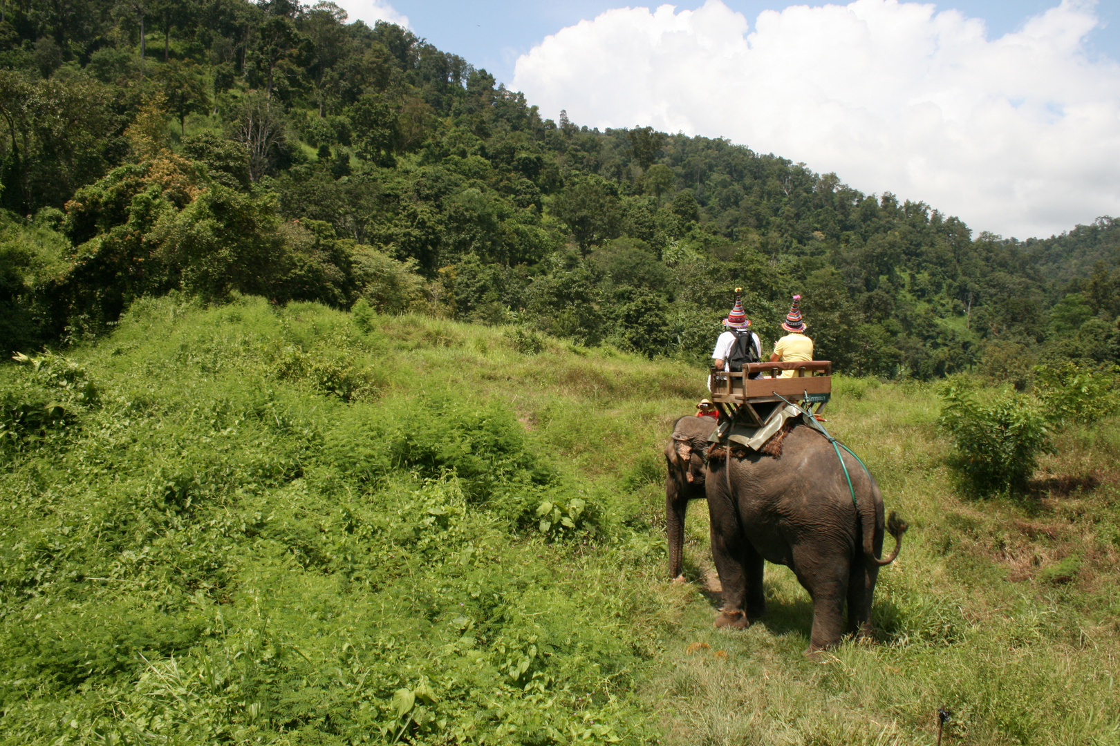 Elefanten und Zwerge in Chiang Mai