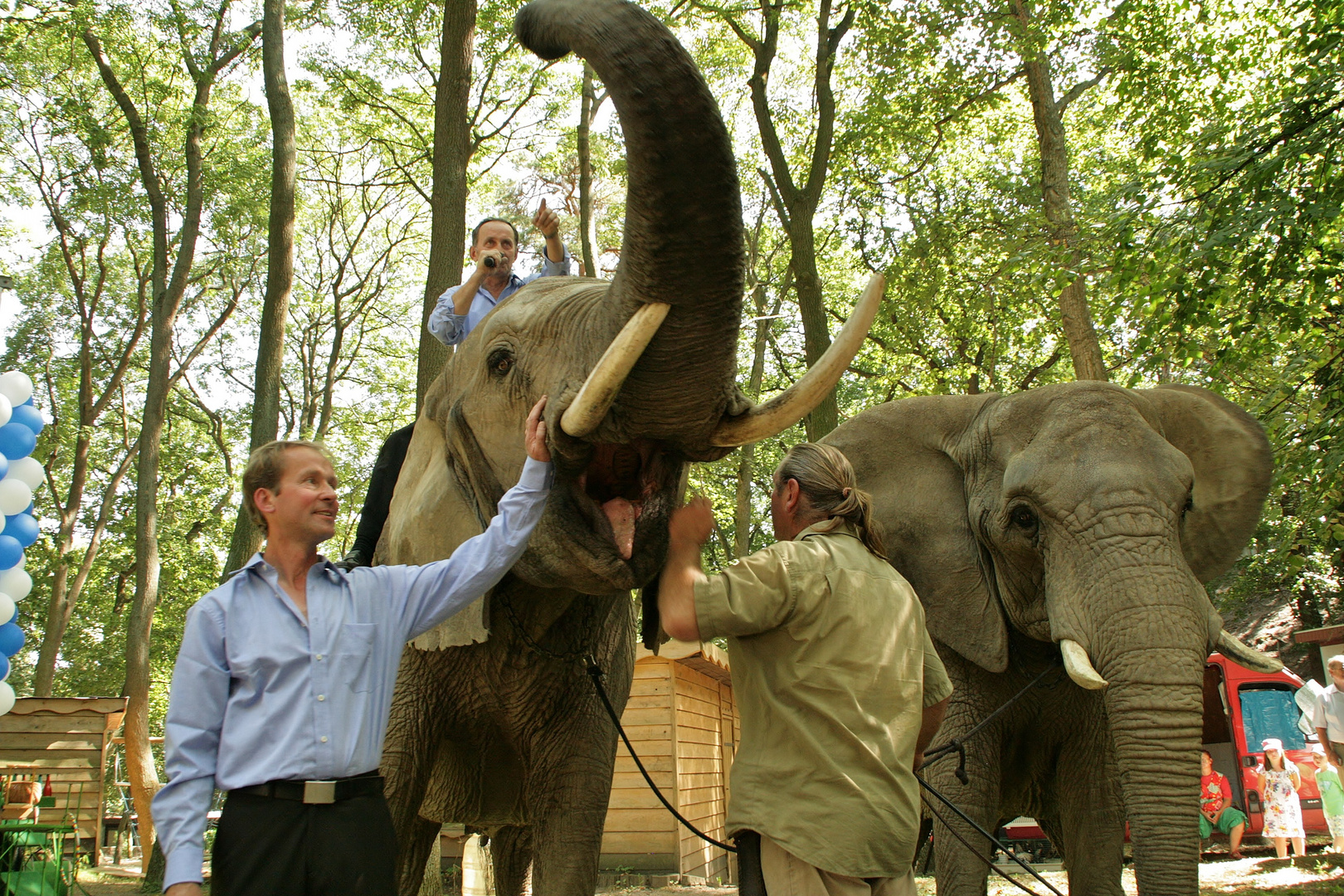 Elefanten zum Anfassen