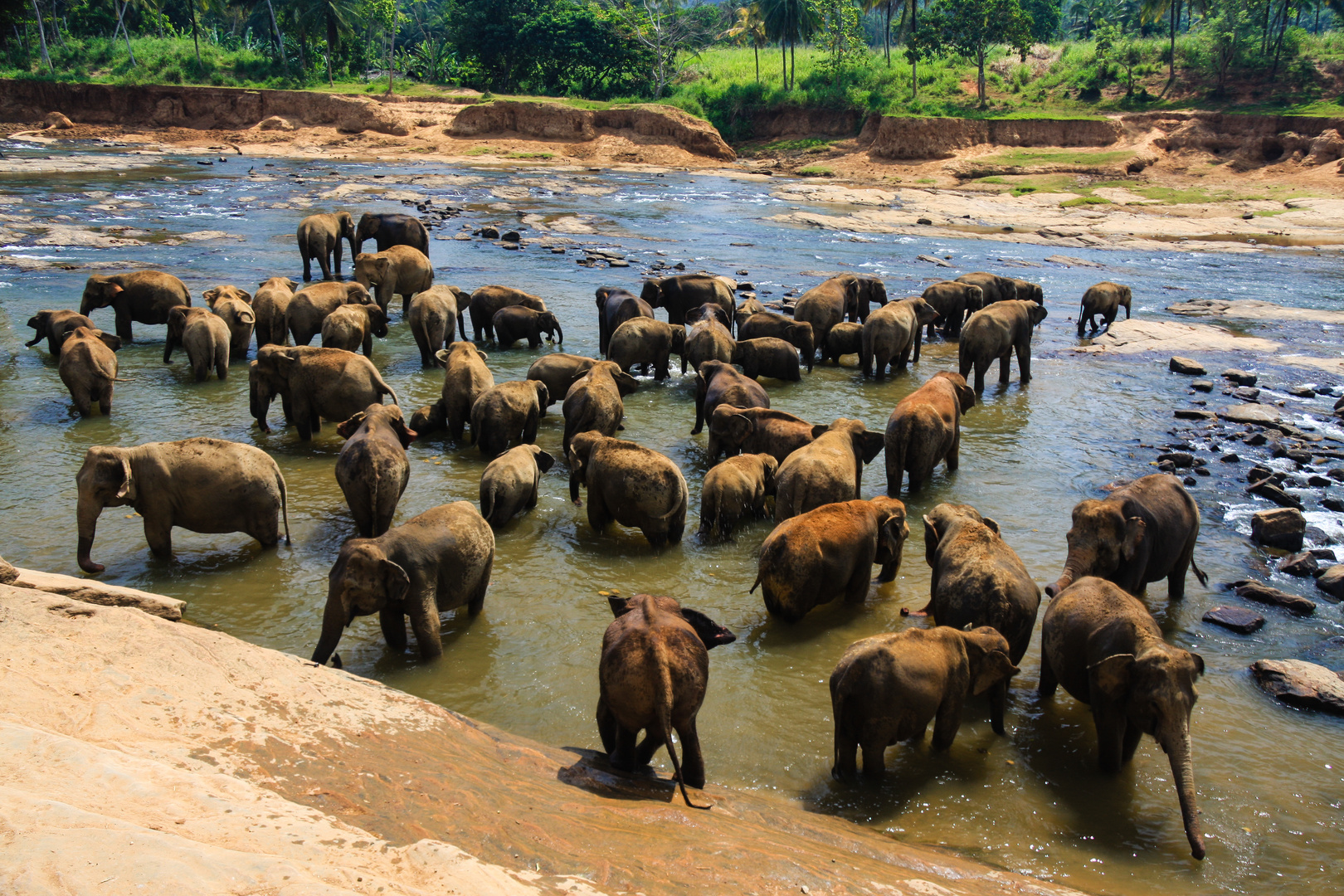Elefantenbad im Ma Oya-Fluss...