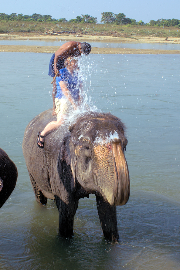 Elefantenbaden