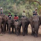 Elefantencamp im Hochland, Myanmar