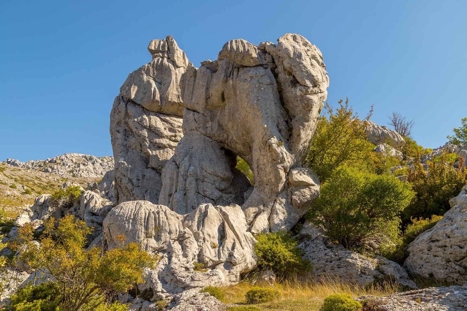 Elefantenfelsen