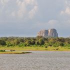 Elefantenfelsen im Yala-Nationalpark