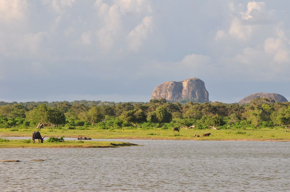 Elefantenfelsen im Yala-Nationalpark