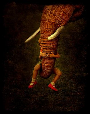 elefantenhof VI: gemeinsam