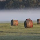 Elefantenködel (Rundballen)