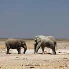 Elefantenkuh mit Tochter