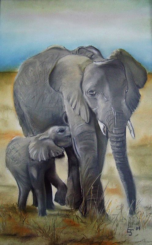 Elefantenmama mit ihrem Baby
