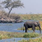 Elefantenparadies - 