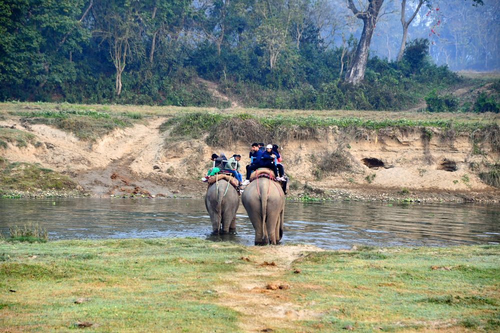 Elefantenreiten im Chitwan Nationalpark in Nepals Süden