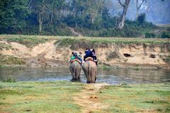 Elefantenreiten im Chitwan Nationalpark in Nepals Süden