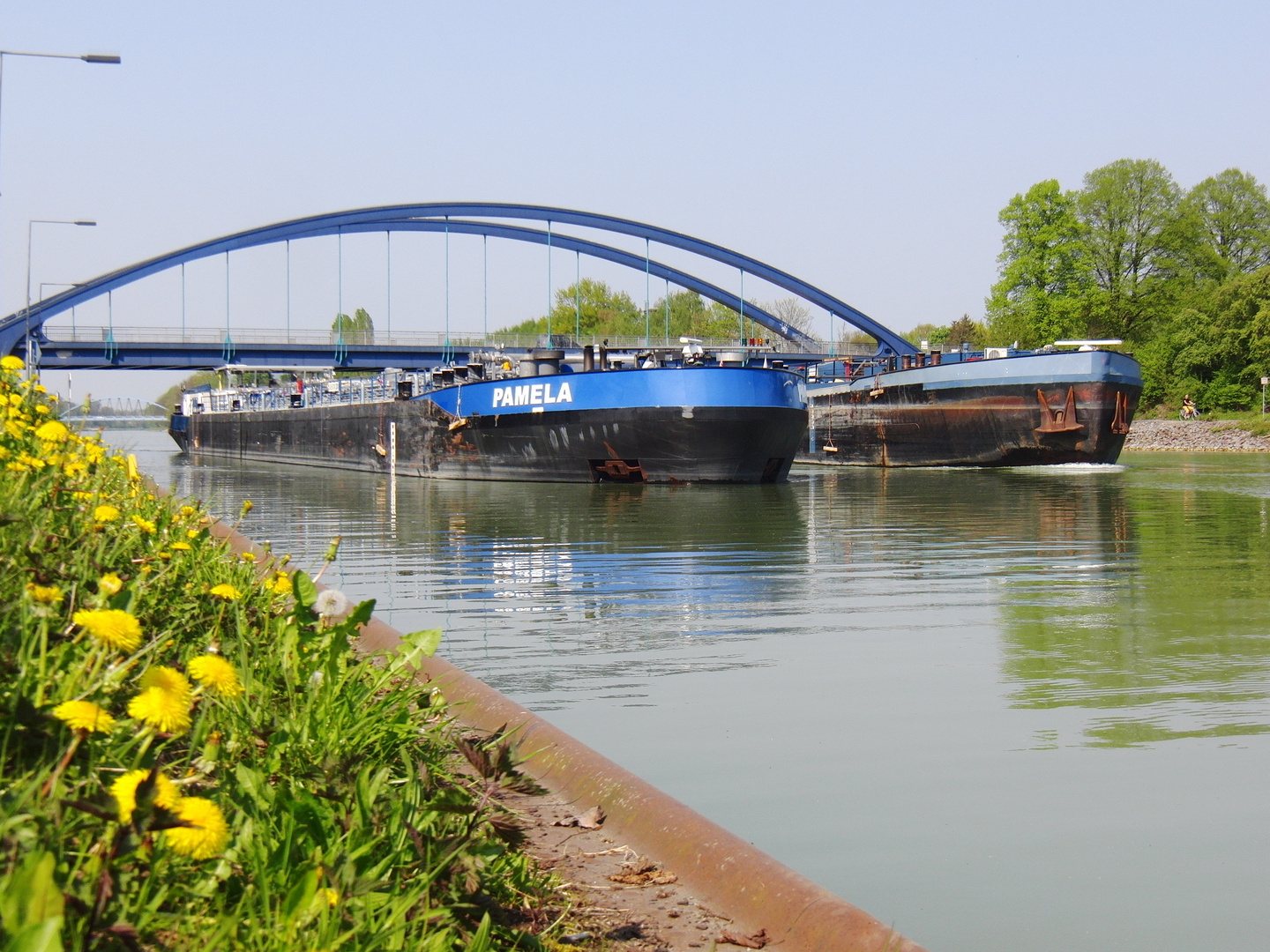 Elefantenrennen auf dem Dortmund-Ems-Kanal in Münster