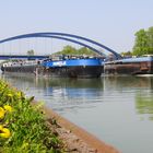 Elefantenrennen auf dem Dortmund-Ems-Kanal in Münster