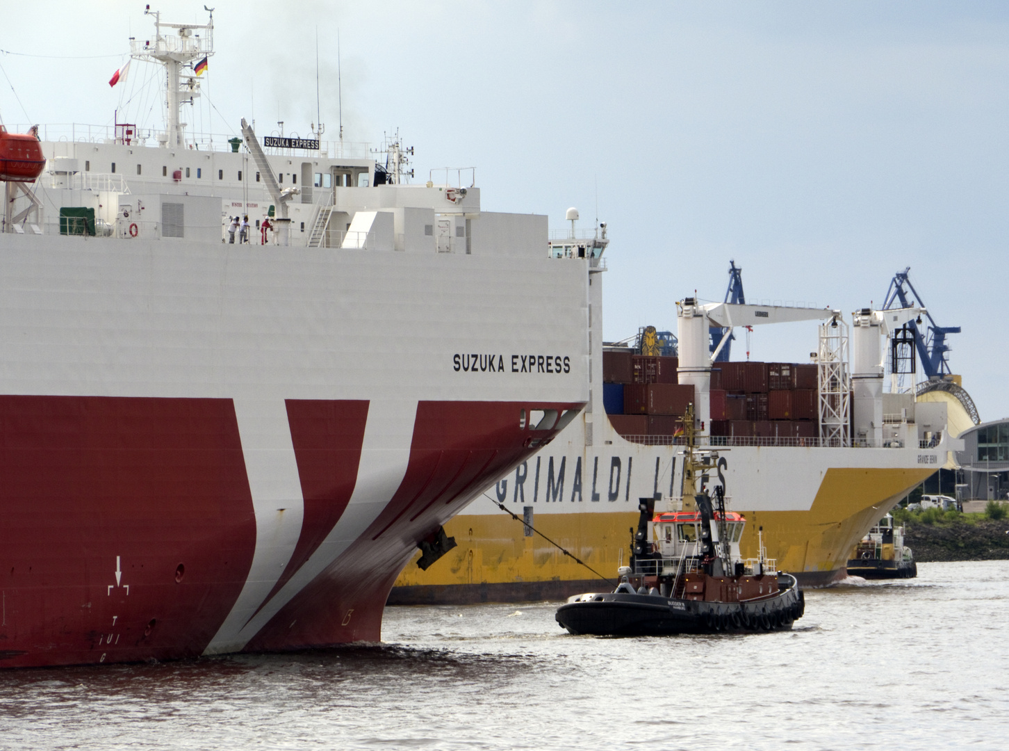 Elefantenrennen im Hafen