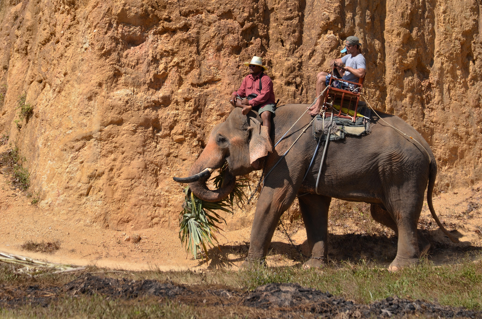 Elefantenritt bei Klong Munag, Krabi, Februar 2014