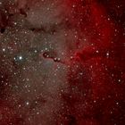 Elefantenrüssel IC 1396 A ("Elephant`s trunk nebula") im Sternbild Kepheus
