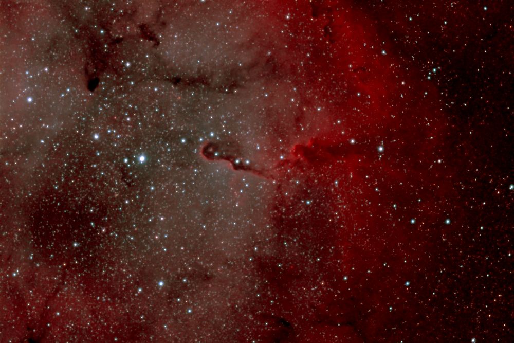 Elefantenrüssel IC 1396 A ("Elephant`s trunk nebula") im Sternbild Kepheus
